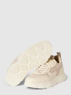 Steve Madden Sneaker Mit Label-Details Modell 'PITTY' - Beige -Schuh Traum 8t1k8gac8d8k4c9g6h2kkdpm6h4k8cahahalacq5951kei21al156la9717l0eaa753kckpk6gp3iiqc64o38c9m6osj4d9o6tj32chk61hj0oj670rmapb571j66d1n6pj38do